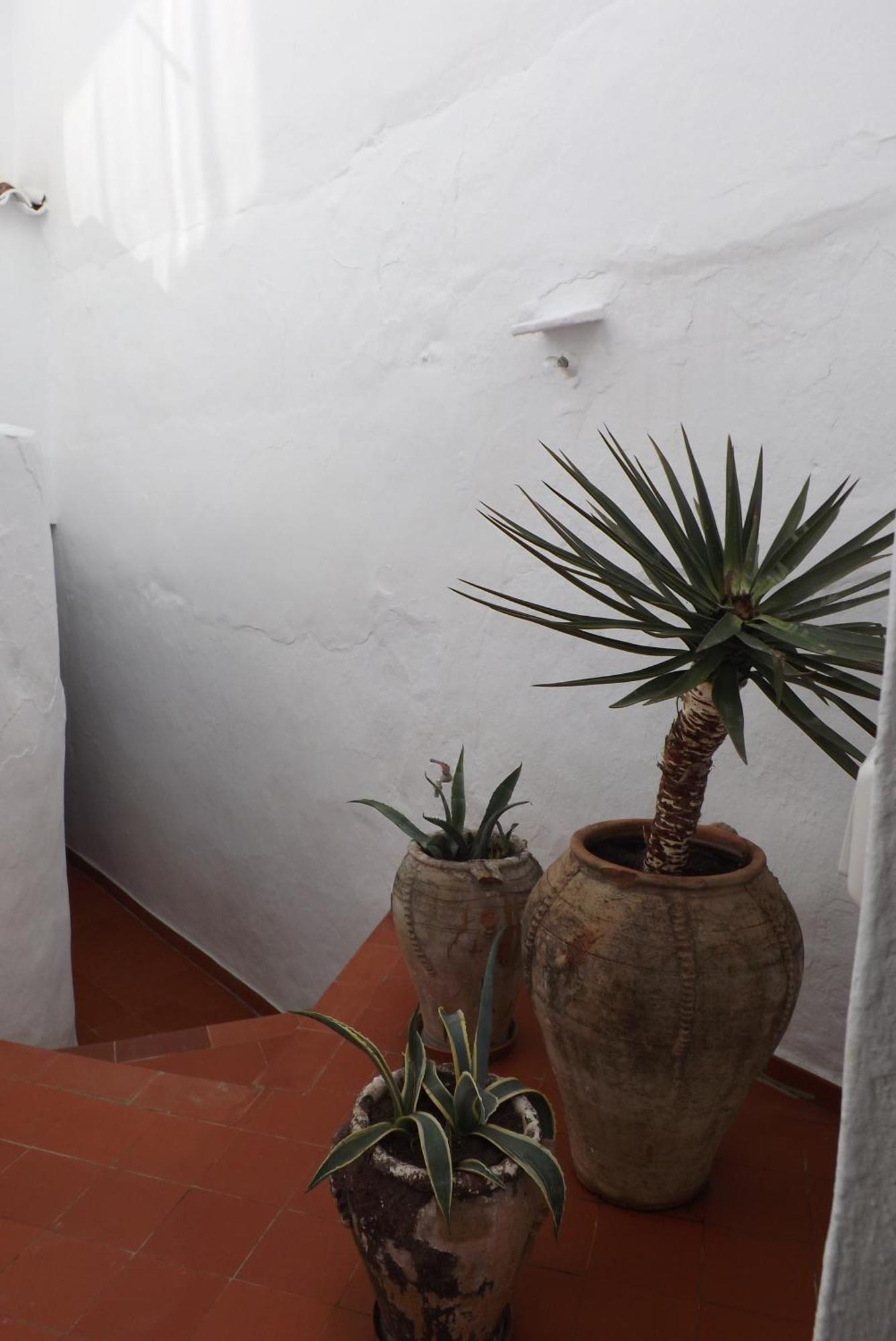 Casa Elvira Villa Competa Ngoại thất bức ảnh